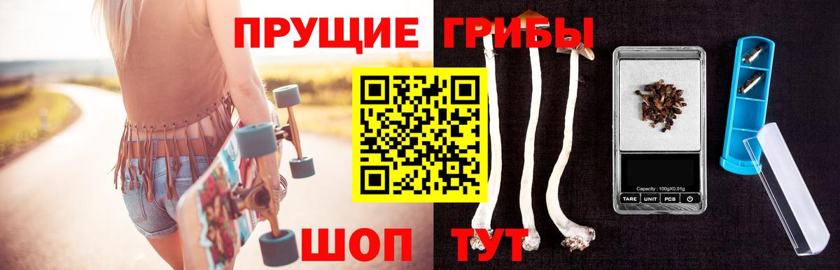Псилоцибиновые грибы прущие грибы  Галлюциногенные грибы Cubensis  Реутов  Вход с VPN 